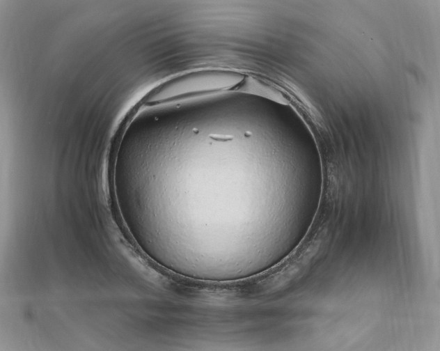 X0000110910788200906181342