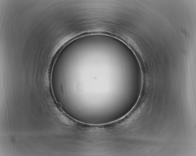 X0000110910789200906181342