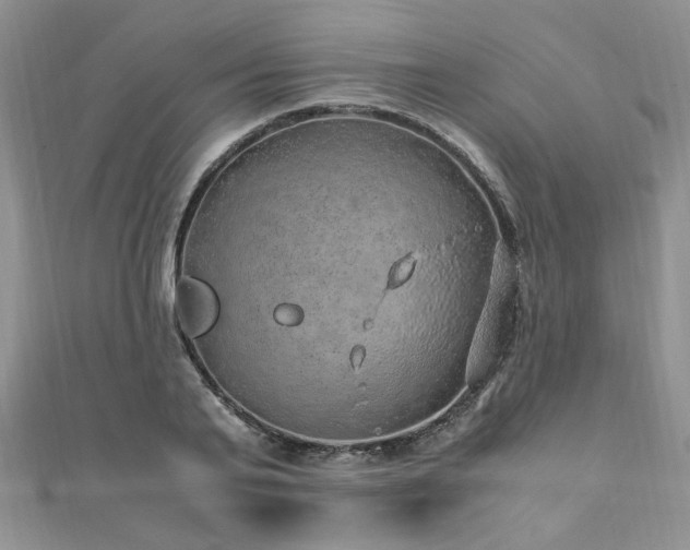 X0000110910791200906181342