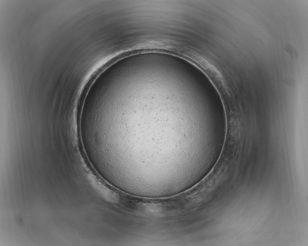 X0000110910792200906181342