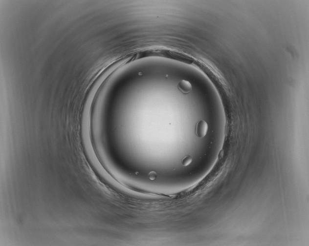 X0000110910793200906181342