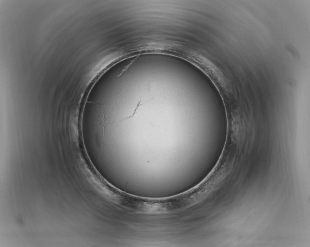 X0000110910794200906181342