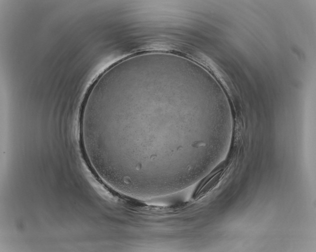 X0000110910795200906181342