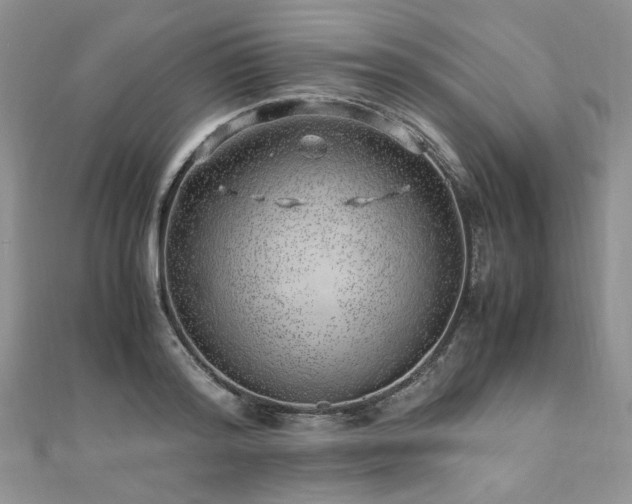 X0000110910796200906181342