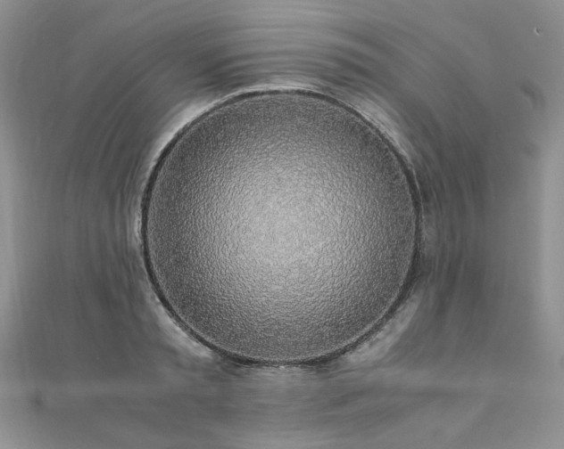 X0000110910797200906181342