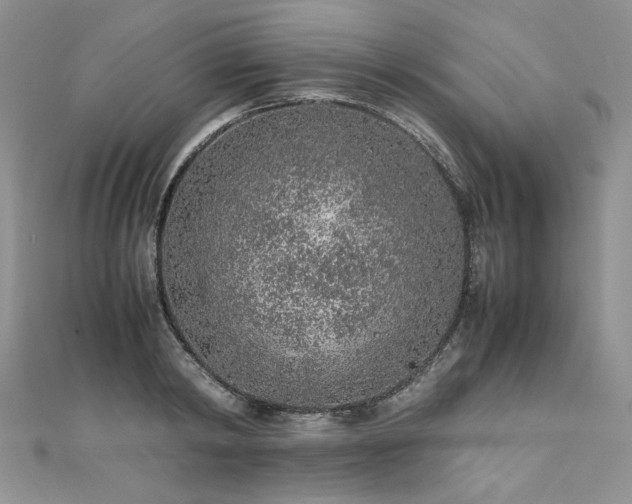 X0000110910798200906181342