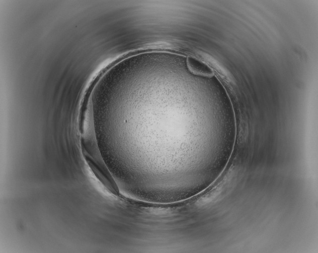 X0000110910800200906181342