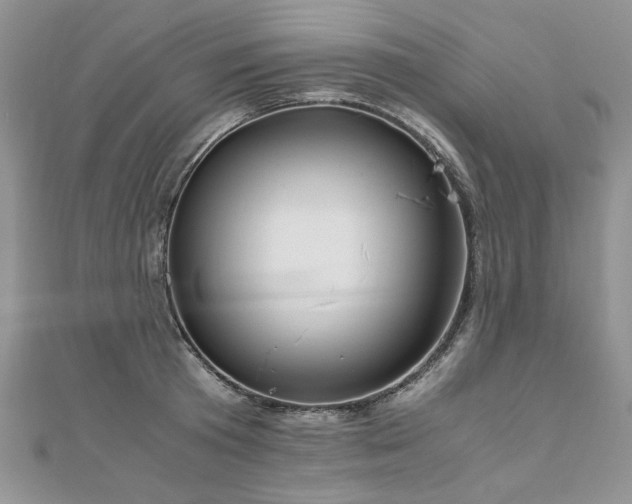 X0000110910801200906181342