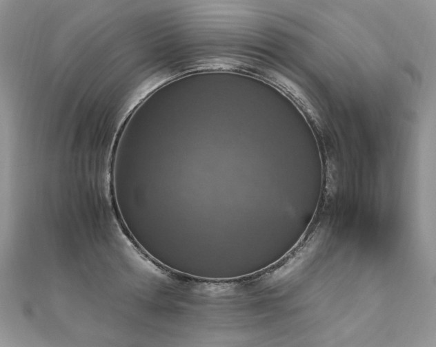 X0000110910802200906181342