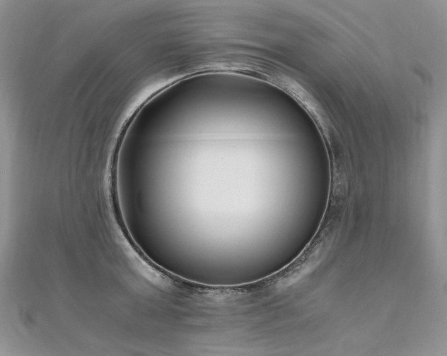 X0000110910803200906181342