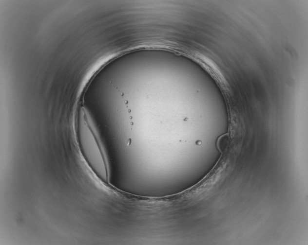 X0000110910804200906181342