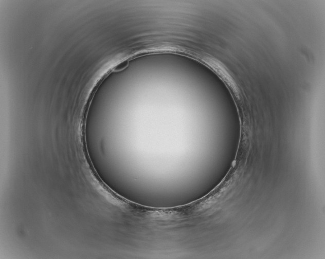 X0000110910805200906181342