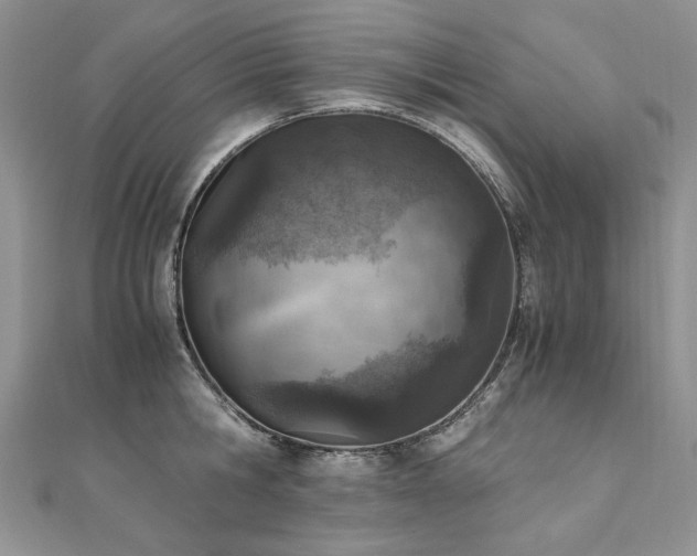 X0000110910806200906181342