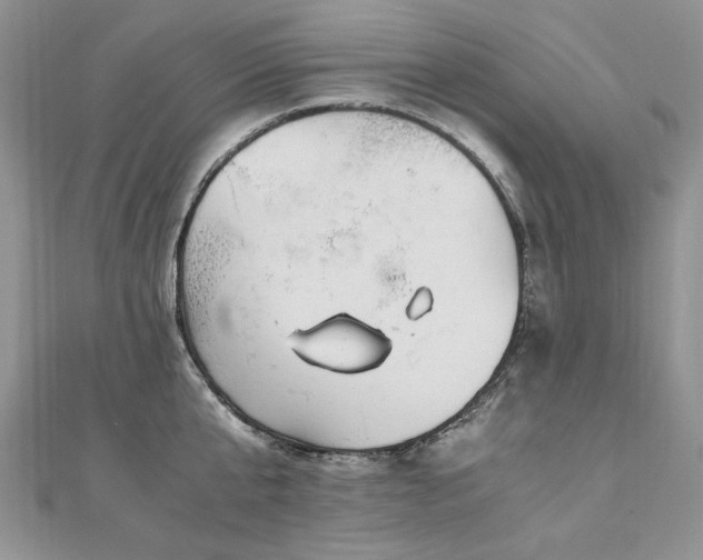 X0000110910807200906181342