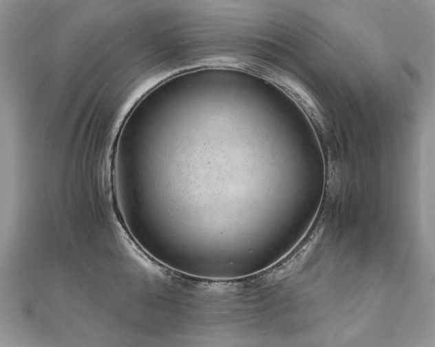 X0000110910808200906181342