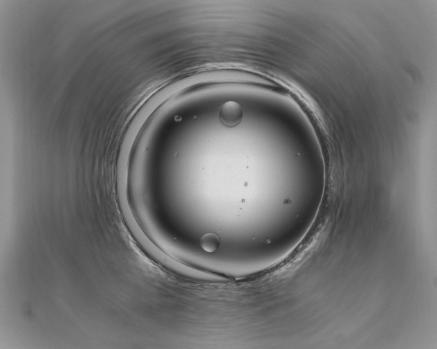 X0000110910809200906181342