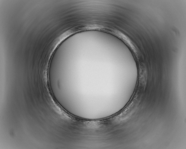 X0000110910810200906181342