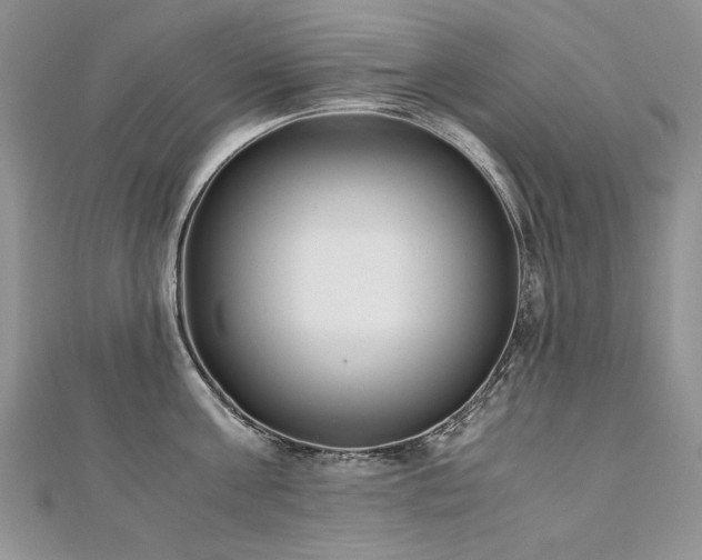 X0000110910811200906181342