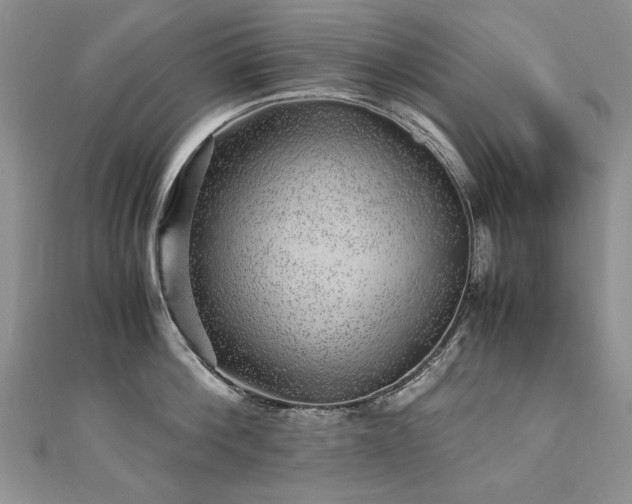 X0000110910812200906181342