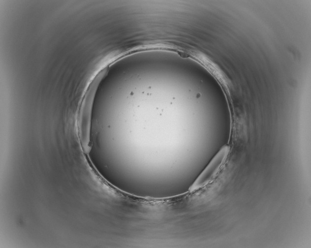 X0000110910813200906181342