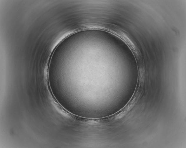 X0000110910814200906181342