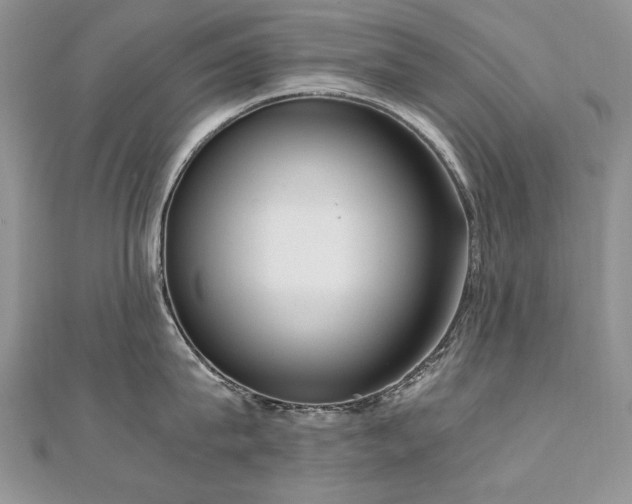 X0000110910815200906181342