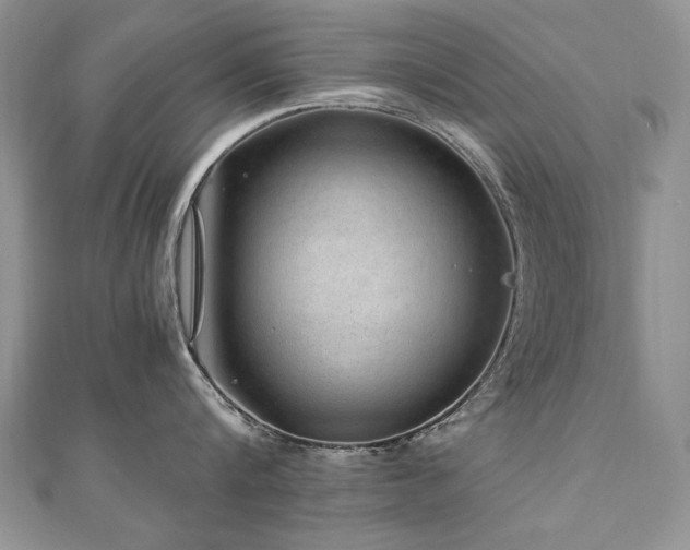 X0000110910816200906181342