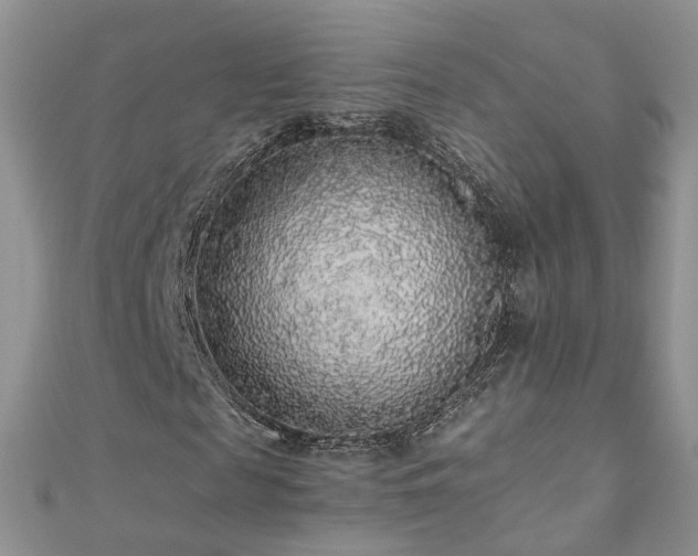 X0000110910817200906181341