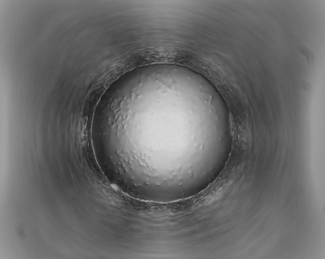 X0000110910818200906181341