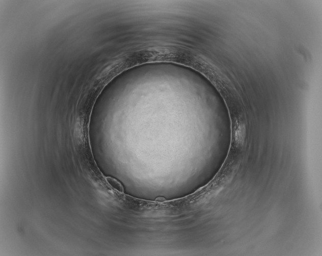 X0000110910819200906181341