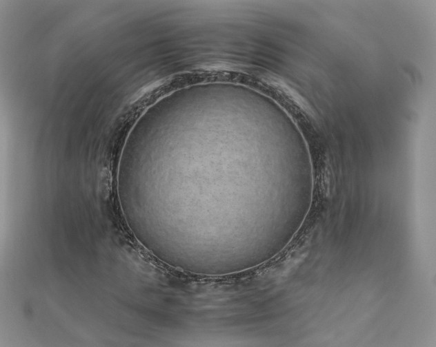 X0000110910821200906181341