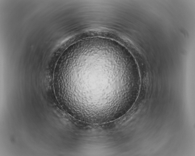 X0000110910822200906181341