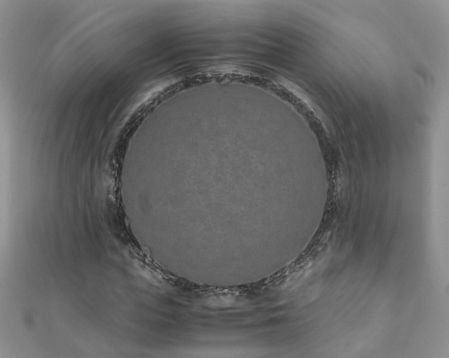 X0000110910823200906181341