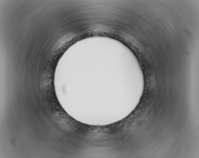 X0000110910824200906181341