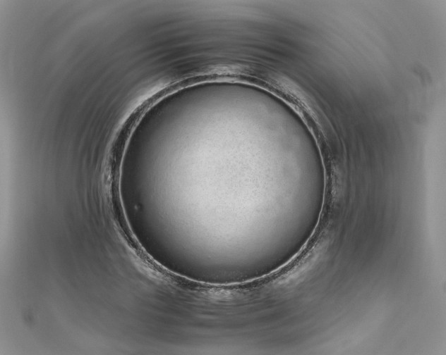 X0000110910827200906181341