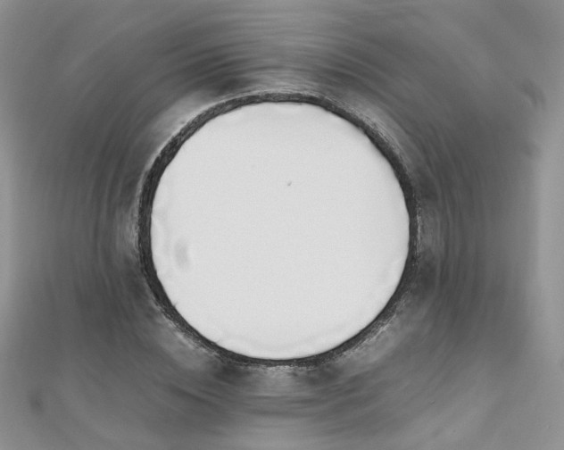 X0000110910828200906181341