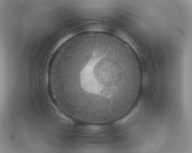 X0000110910829200906181341