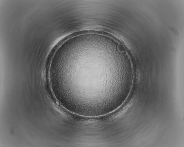 X0000110910830200906181341