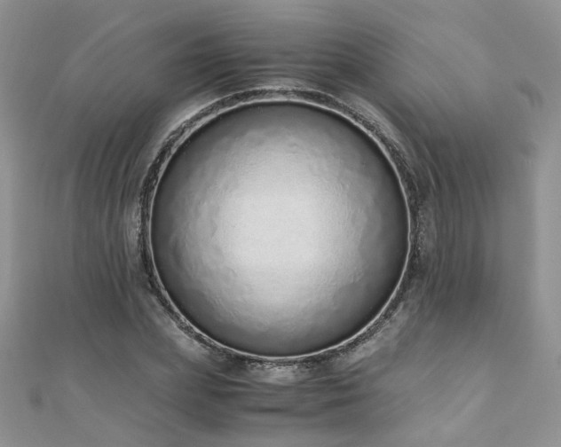 X0000110910831200906181341