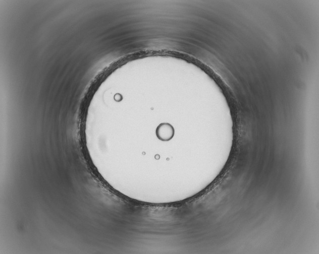 X0000110910832200906181341