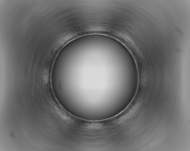 X0000110910833200906181341