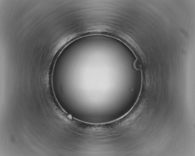 X0000110910834200906181341