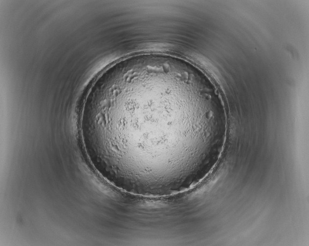 X0000110910835200906181341