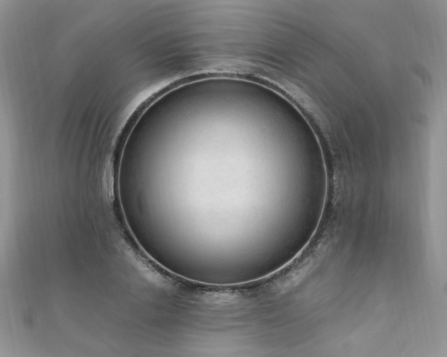 X0000110910838200906181341