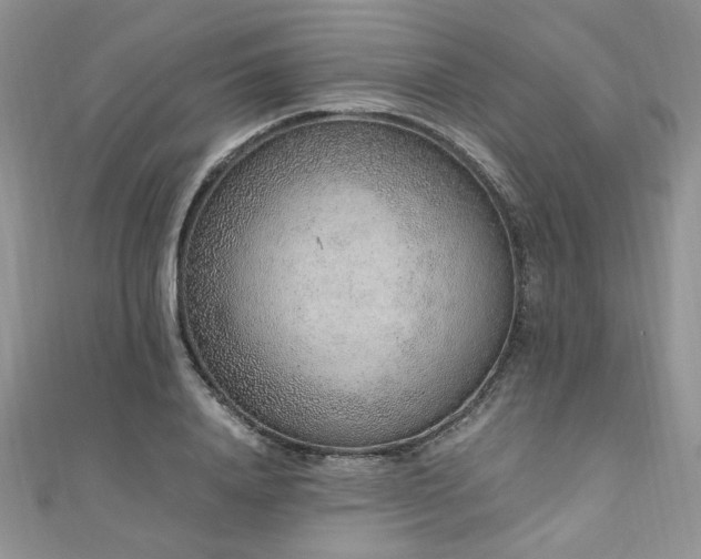 X0000110910840200906181341