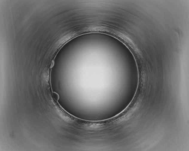 X0000110910841200906181341