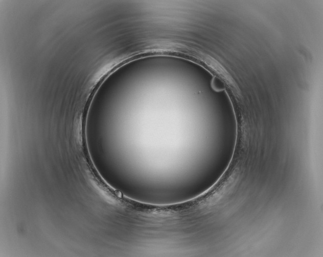 X0000110910842200906181341