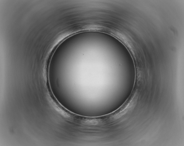 X0000110910843200906181341