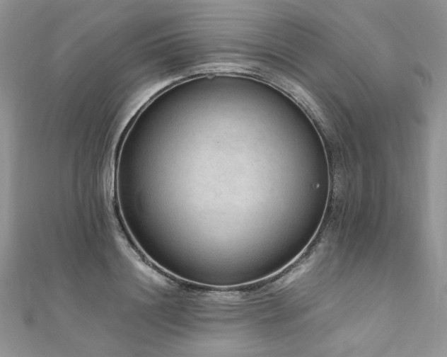 X0000110910844200906181341