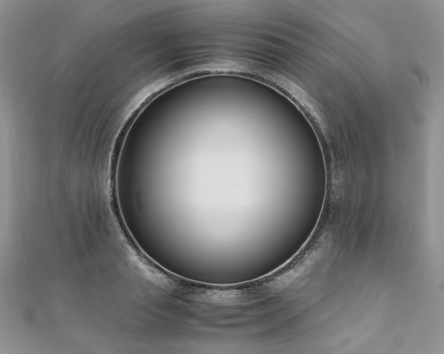 X0000110910845200906181341